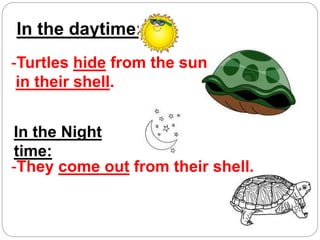 In the daytime:
In the Night
time:
-Turtles hide from the sun
in their shell.
-They come out from their shell.
 