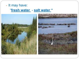 - It may have:
“fresh water - salt water “
 