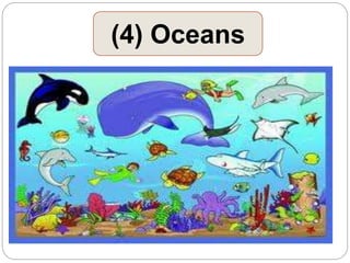 (4) Oceans
 