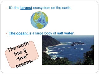 - It’s the largest ecosystem on the earth.
- The ocean: is a large body of salt water.
 