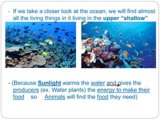 - If we take a closer look at the ocean, we will find almost
all the living things in it living in the upper “shallow”
part of the ocean.
- (Because Sunlight warms the water and gives the
producers (ex. Water plants) the energy to make their
food so Animals will find the food they need)
 