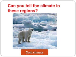 Can you tell the climate in
these regions?
Cold climate
 