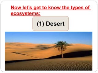 Now let’s get to know the types of
ecosystems:
(1) Desert
 