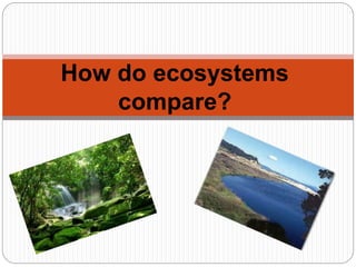 How do ecosystems
compare?
 