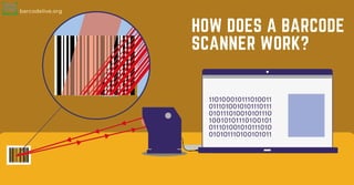 barcodelive.org
HOW DOES A BARCODE
SCANNER WORK?
 