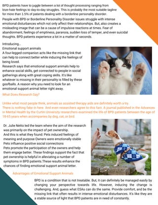 Does An Emotional Support Animal Letter Help Borderline Personality