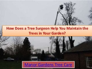How Does a Tree Surgeon Help You Maintain the
Trees in Your Garden?
Manor Gardens Tree Care
 