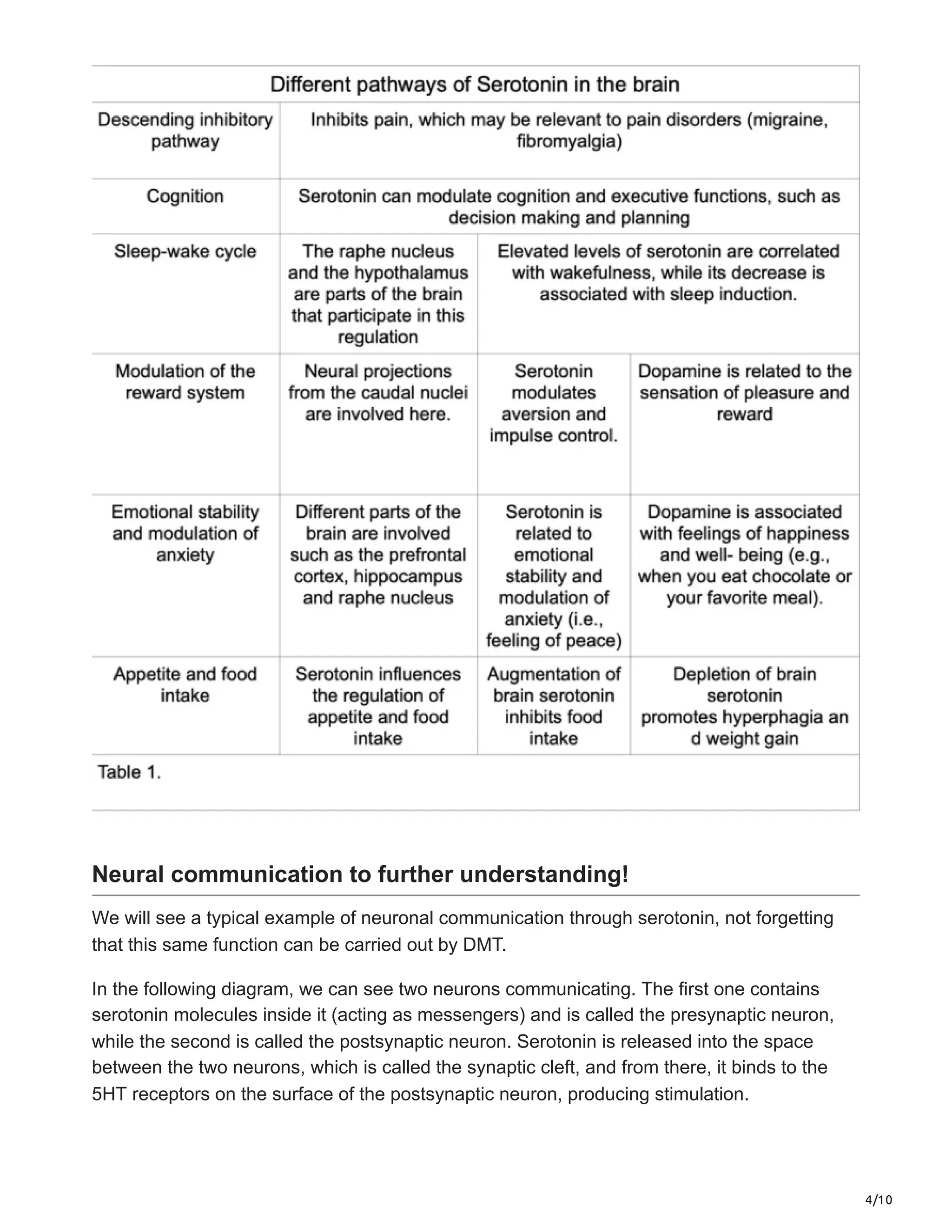4/10
Neural communication to further understanding!
We will see a typical example of neuronal communication through serotonin, not forgetting
that this same function can be carried out by DMT.
In the following diagram, we can see two neurons communicating. The first one contains
serotonin molecules inside it (acting as messengers) and is called the presynaptic neuron,
while the second is called the postsynaptic neuron. Serotonin is released into the space
between the two neurons, which is called the synaptic cleft, and from there, it binds to the
5HT receptors on the surface of the postsynaptic neuron, producing stimulation.
 