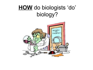 HOW  do biologists ‘do’ biology? 