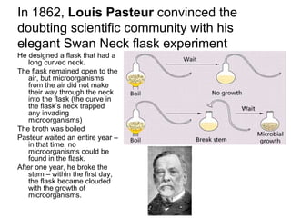 In 1862,  Louis Pasteur  convinced the doubting scientific community with his elegant Swan Neck flask experiment He designed a flask that had a long curved neck. The flask remained open to the air, but microorganisms from the air did not make their way through the neck into the flask (the curve in the flask’s neck trapped any invading microorganisms) The broth was boiled  Pasteur waited an entire year – in that time, no microorganisms could be found in the flask. After one year, he broke the stem – within the first day, the flask became clouded with the growth of microorganisms. 