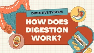 HOW DOES
DIGESTION
WORK?
DIGESTIVE SYSTEM
 
