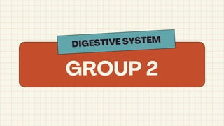 GROUP 2
DIGESTIVE SYSTEM
 