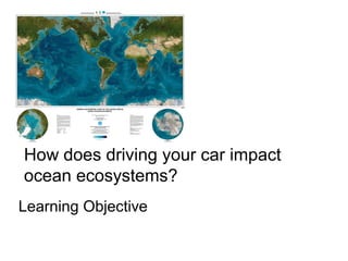 How does driving your car impact
ocean ecosystems?
Learning Objective
 