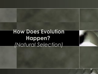 How Does Evolution
    Happen?
(Natural Selection)
 
