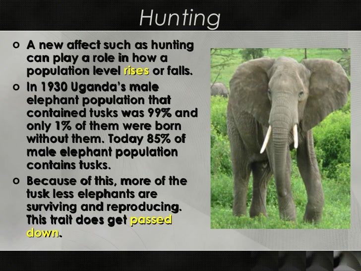 How Does Competition Play A Role In Natural Selection How Does Competition Play A Role In Natural Selection