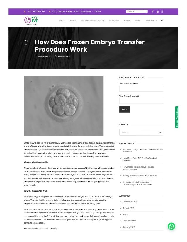 How Does Frozen Embryo Transfer Procedure Work