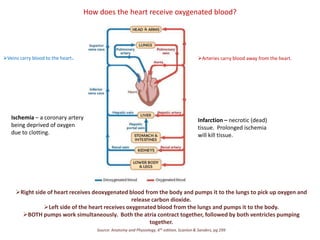 How does the heart receive oxygenated blood?  ,[object Object]