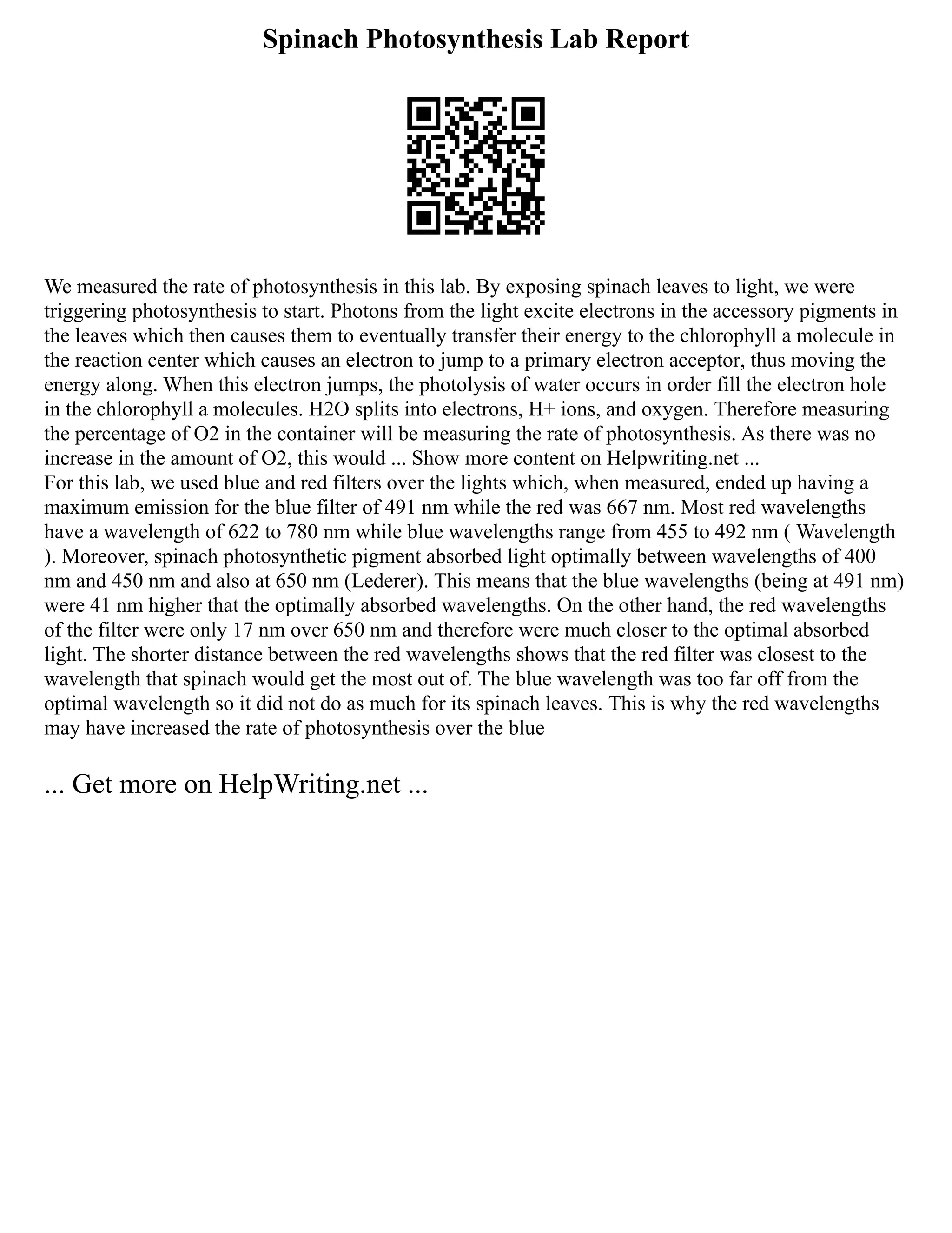 Spinach Photosynthesis Lab Report
We measured the rate of photosynthesis in this lab. By exposing spinach leaves to light, we were
triggering photosynthesis to start. Photons from the light excite electrons in the accessory pigments in
the leaves which then causes them to eventually transfer their energy to the chlorophyll a molecule in
the reaction center which causes an electron to jump to a primary electron acceptor, thus moving the
energy along. When this electron jumps, the photolysis of water occurs in order fill the electron hole
in the chlorophyll a molecules. H2O splits into electrons, H+ ions, and oxygen. Therefore measuring
the percentage of O2 in the container will be measuring the rate of photosynthesis. As there was no
increase in the amount of O2, this would ... Show more content on Helpwriting.net ...
For this lab, we used blue and red filters over the lights which, when measured, ended up having a
maximum emission for the blue filter of 491 nm while the red was 667 nm. Most red wavelengths
have a wavelength of 622 to 780 nm while blue wavelengths range from 455 to 492 nm ( Wavelength
). Moreover, spinach photosynthetic pigment absorbed light optimally between wavelengths of 400
nm and 450 nm and also at 650 nm (Lederer). This means that the blue wavelengths (being at 491 nm)
were 41 nm higher that the optimally absorbed wavelengths. On the other hand, the red wavelengths
of the filter were only 17 nm over 650 nm and therefore were much closer to the optimal absorbed
light. The shorter distance between the red wavelengths shows that the red filter was closest to the
wavelength that spinach would get the most out of. The blue wavelength was too far off from the
optimal wavelength so it did not do as much for its spinach leaves. This is why the red wavelengths
may have increased the rate of photosynthesis over the blue
... Get more on HelpWriting.net ...
 