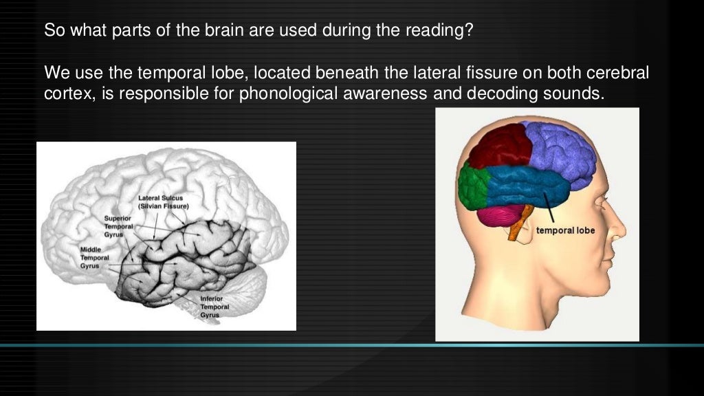 How does reading affects the brain