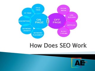 How Does SEO Work
 