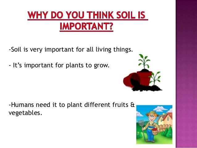 why soil differ from place to place