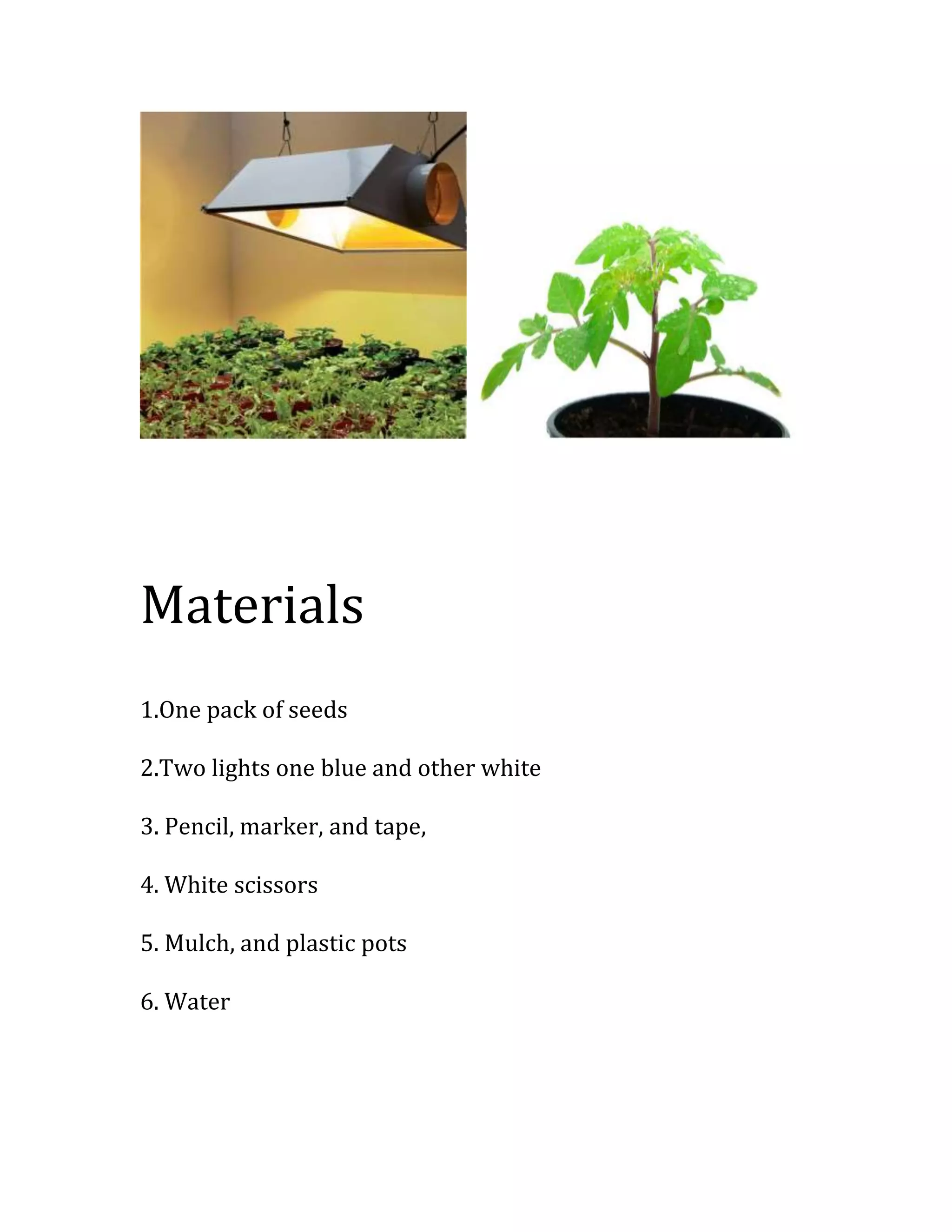 does light affect plant growth