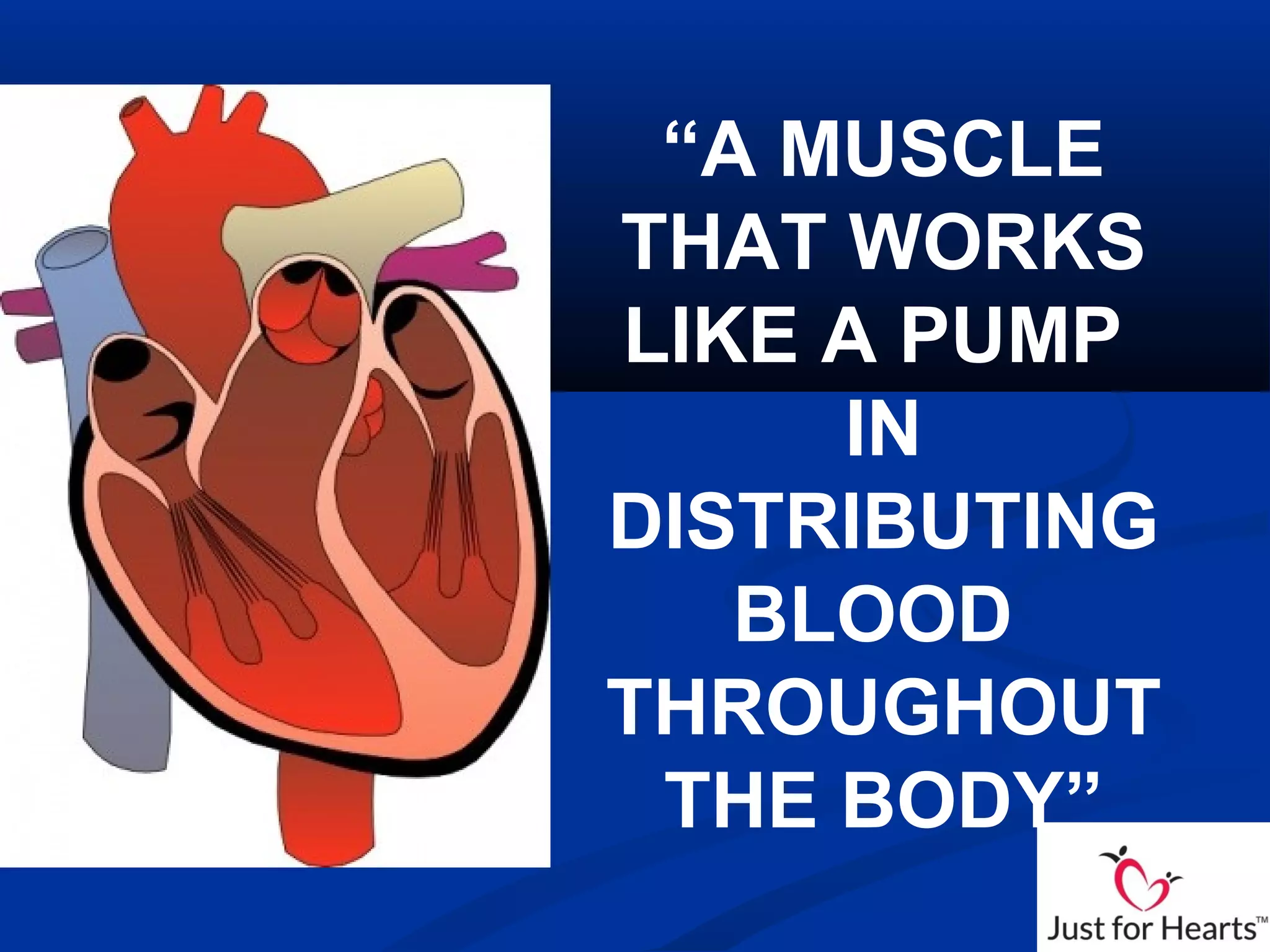 “A MUSCLE
THAT WORKS
LIKE A PUMP
IN
DISTRIBUTING
BLOOD
THROUGHOUT
THE BODY”