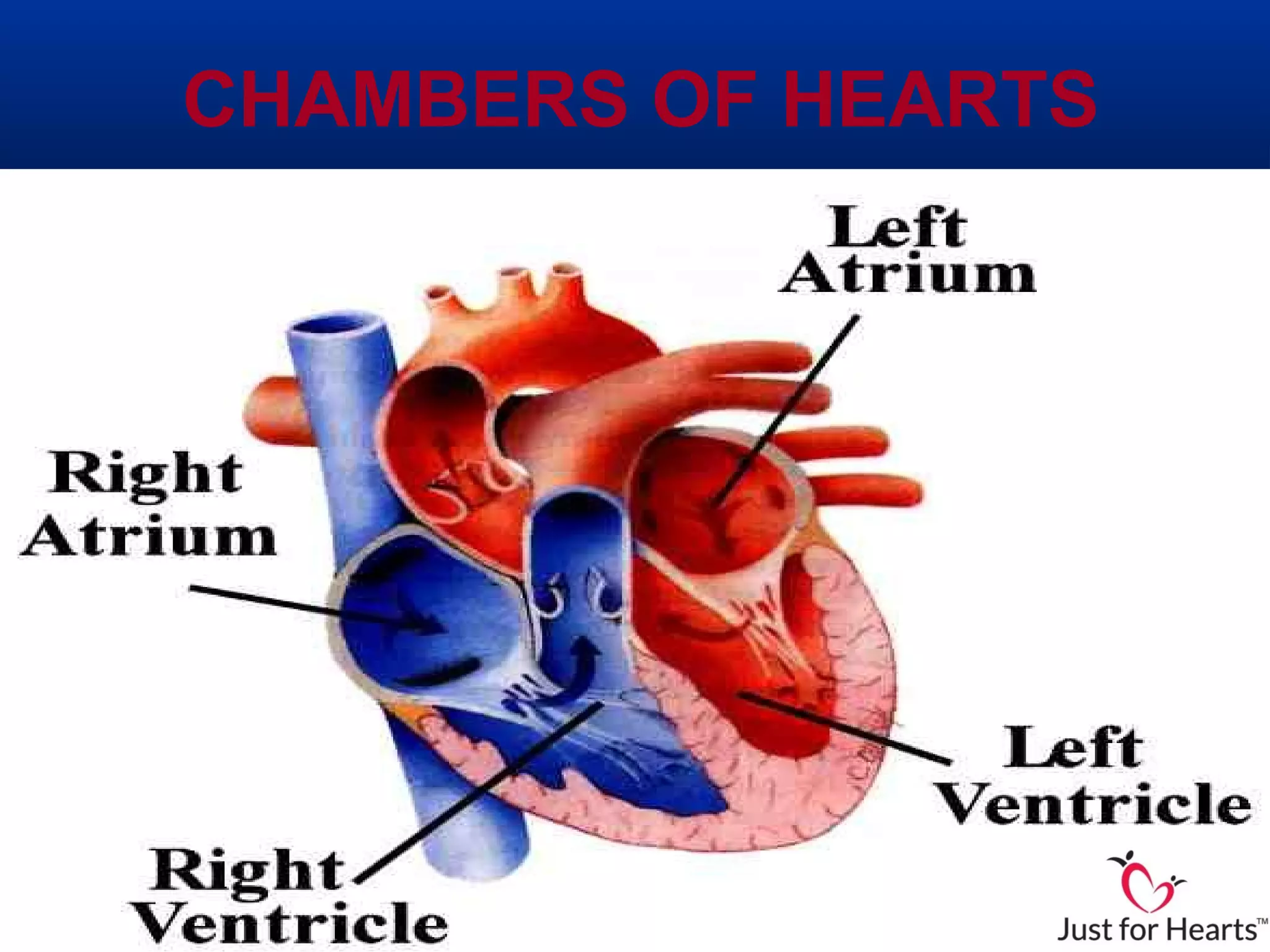 CHAMBERS OF HEARTS