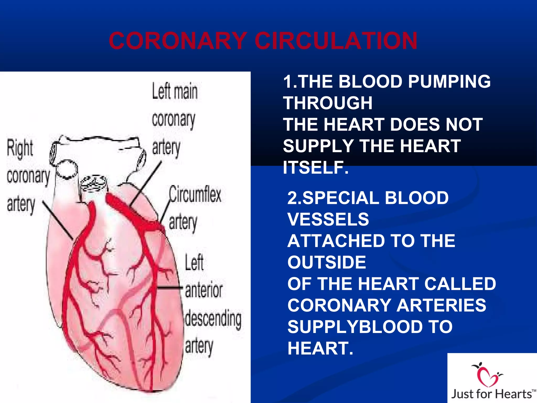 CORONARY CIRCULATION
1.THE BLOOD PUMPING
THROUGH
THE HEART DOES NOT
SUPPLY THE HEART
ITSELF.
2.SPECIAL BLOOD
VESSELS
ATTACHED TO THE
OUTSIDE
OF THE HEART CALLED
CORONARY ARTERIES
SUPPLYBLOOD TO
HEART.
