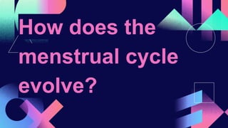 How does the
menstrual cycle
evolve?
 