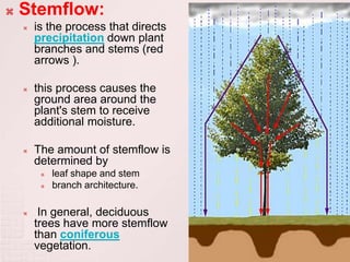 How does water move through the drainage basin lesson 3 | PPTX