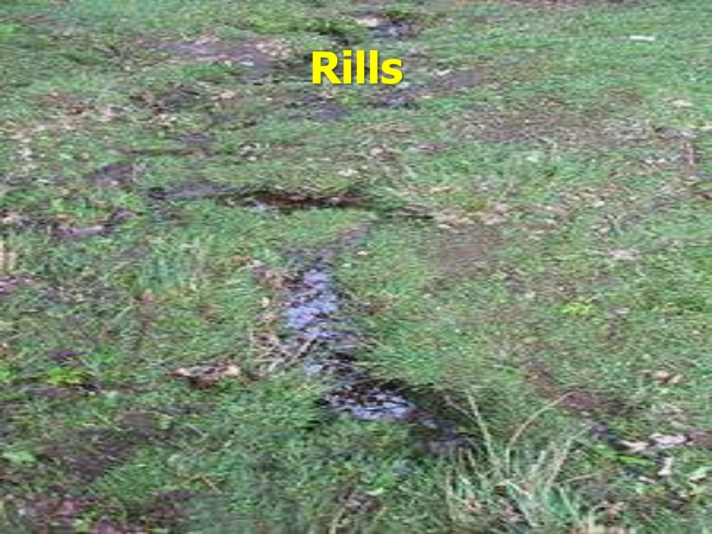 How Does Water Move Through The Drainage Basin Lesson 3