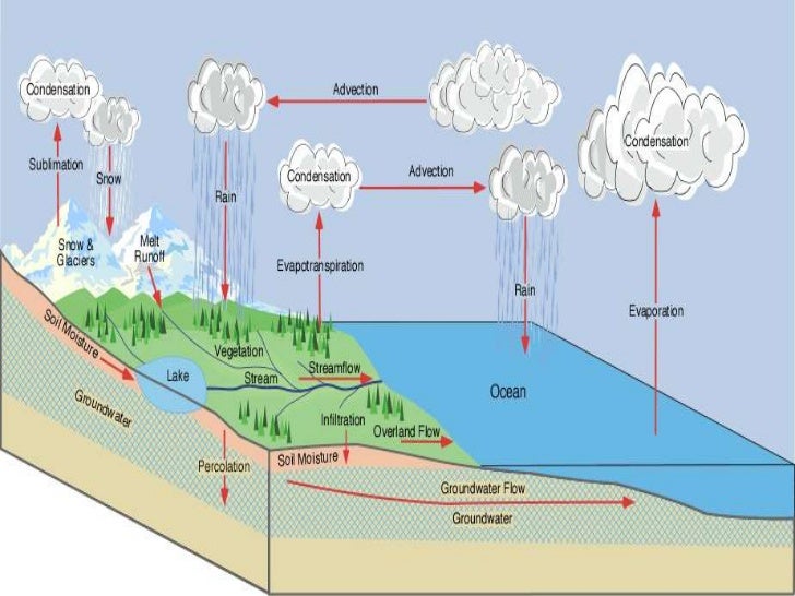 How does water move through the drainage basin lesson 3