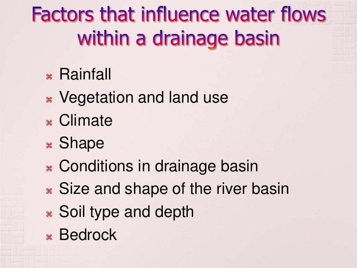 How does water move through a sponge brainly upoipak