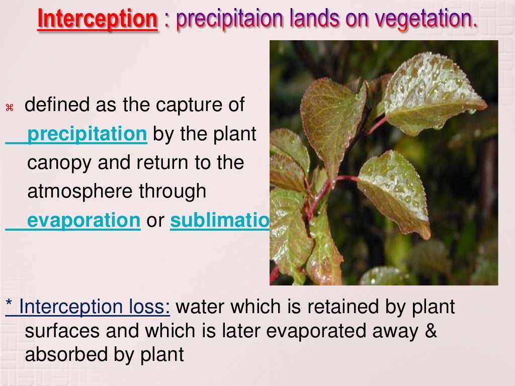 How Does Water Move Through The Drainage Basin Lesson 3