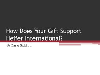 How Does Your Gift Support
Heifer International?
By Zariq Siddiqui
 