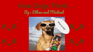 How Dogs Think....
By : Ethan and Michael
^-^ ^-^
^-^ ^-^
 