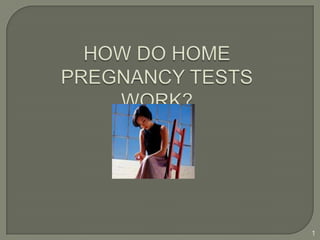 1 HOW DO HOME PREGNANCY TESTS WORK? 
