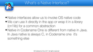 How do i - create a native interface | PDF