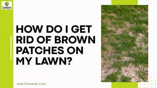 How Do I Get Rid of Brown Patches on my Lawn .pptx