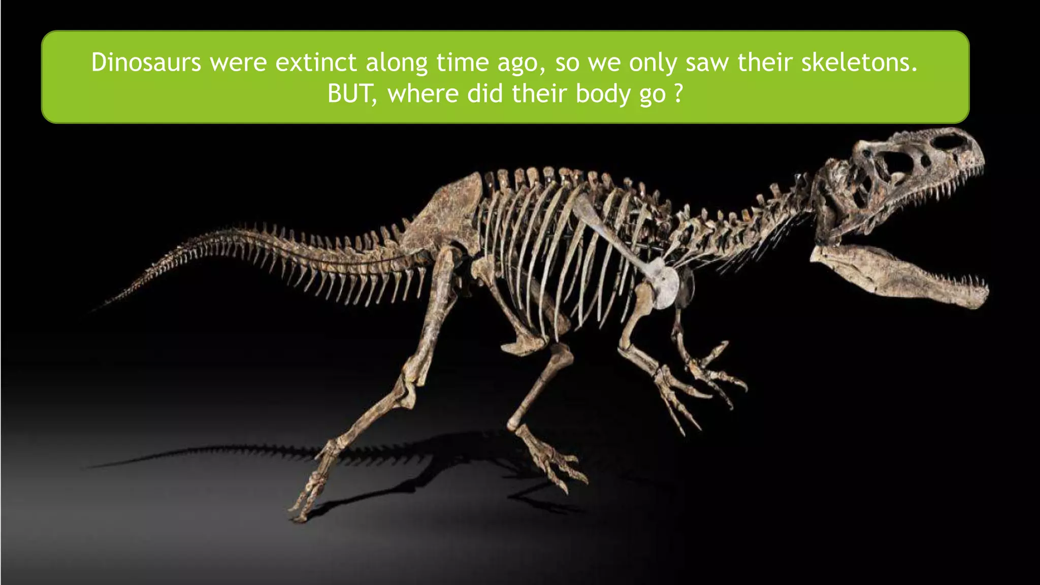 Dinosaurs were extinct along time ago, so we only saw their skeletons.
BUT, where did their body go ?
 