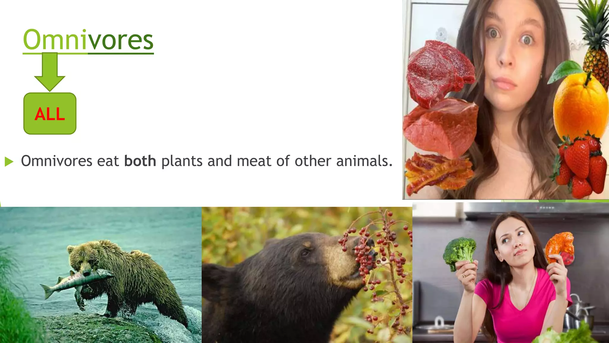 Omnivores
 Omnivores eat both plants and meat of other animals.
ALL
 