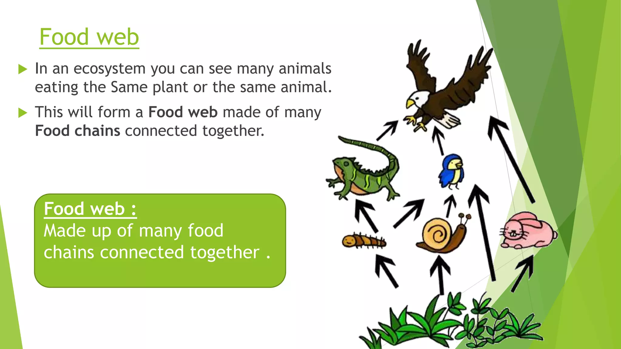 Food web
 In an ecosystem you can see many animals
eating the Same plant or the same animal.
 This will form a Food web made of many
Food chains connected together.
Food web :
Made up of many food
chains connected together .
 