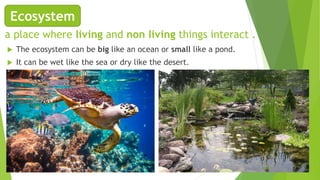 How do living things interact | PPTX