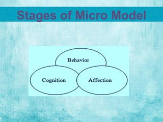 Stages of Micro Model
 