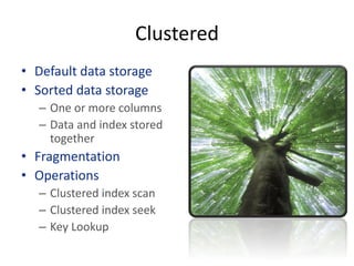 Clustered
• Default data storage
• Sorted data storage
– One or more columns
– Data and index stored
together

• Fragmentation
• Operations
– Clustered index scan
– Clustered index seek
– Key Lookup

 