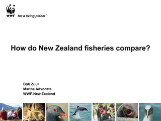 How do New Zealand fisheries compare? Bob Zuur Marine Advocate WWF-New Zealand 