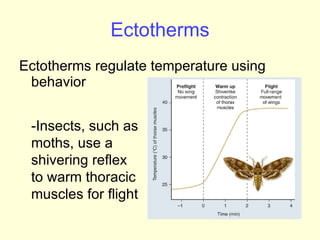 Ectotherms Ectotherms regulate temperature using behavior -Insects, such as moths, use a shivering reflex to warm thoracic muscles for flight 