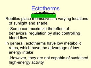 Ectotherms Reptiles place themselves in varying locations of sunlight and shade -Some can maximize the effect of behavioral regulation by also controlling blood flow In general, ectotherms have low metabolic rates, which have the advantage of low energy intake -However, they are not capable of sustained high-energy activity 