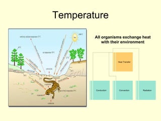Temperature All organisms exchange heat with their environment Heat Transfer Conduction Convection Radiation 